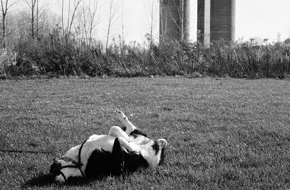 Roll-185 (Canon AE-1 Program HP5)